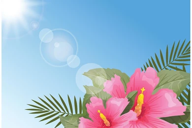 Hawaiian Tribal Pattern Vectors Pack 1   Download Free Vector Art ...