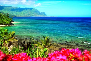 Hawaii Beach Desktop Backgrounds