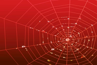 Pics, Facts, Funny Stuff About Animals & Nature Spiderman Web ...