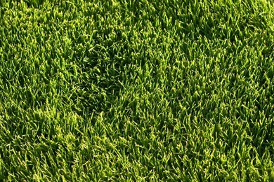 Free Royalty Free Images For Websites   Wallpapers HD Wide