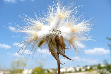 Wallpapers Royalty Free Photo Image Awesome 281   3072 X 2304 ...