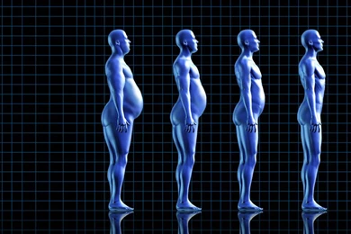 Wallpapers Health And Fitness Royalty Free Powerpoint Ppt 1024x768 ...