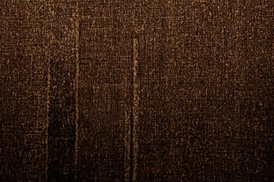 Royalty Free Stock Photos Free Download