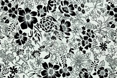 Royalty Free Stock Photos   Desktop Backgrounds