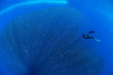 High Quality Royalty Free Stock Photos, Royalty Free Images