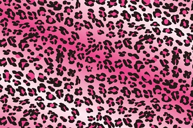 Pink Animal Print Wallpapers   Wallpapers Zone