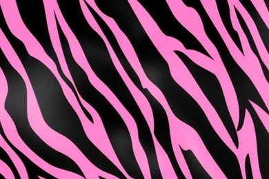 Pink Zebra And Cheetah Wallpapers
