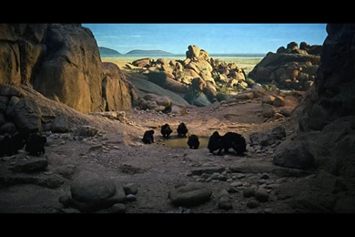 Movies Screenshots 2001 A Space Odyssey Stanley Kubrick