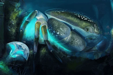 Zodiac Cancer Wallpapers   Wallpapers Cave