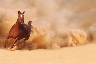 Running Wallpapers >> Backgrounds With Quality HD