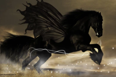 HD Wide Wallpaper, Black Horse In The Run, The Black Knight ...