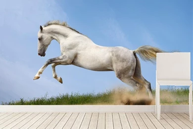 Popular Running Wallpaper Buy Cheap Running Wallpapers Lots From ...