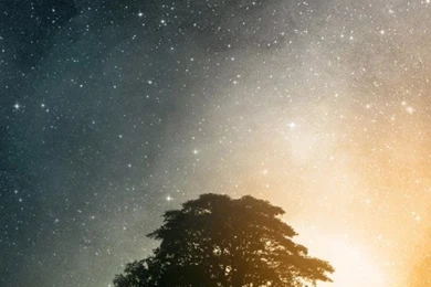 Iphone 4 Wallpapers Hd 10 500x750   iPhone Wallpapers   Gallery ...