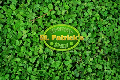 Wallpapers Shamrock   Wallpapers Cave