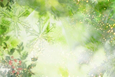 Wedding Wallpapers Collection (36+)