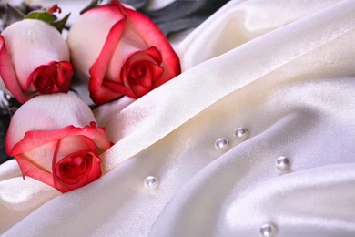 Wedding Wallpapers Free Download AVB7