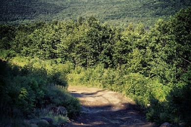 Nexus 7 Wallpapers   Download High Quality Wallpapers For Android ...