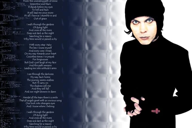 Him Wallpaper, Picture, Photo, Image