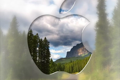 Most Viewed Wallpapers   Wallpapers Zone