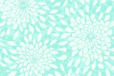 KS2314 Cool Kids Chevron Wallpapers By York