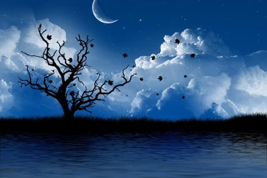 Sweet Desktop Backgrounds Hd Hd Wallpapers