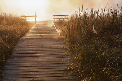 Dual Monitors Zombie Wallpaper Backgrounds