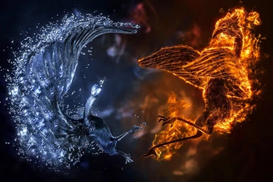 234306 Fire And Ice 1600x1018px By Tom Gil