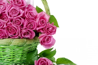 Flower PC Wallpapers   HD Wallpapers