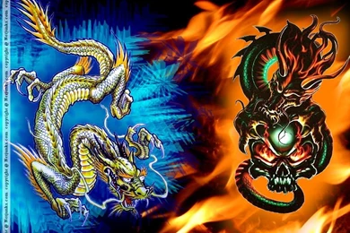 Wallpapers Rainbow Skulls Of Fire Ice Netjunkz 1024x768