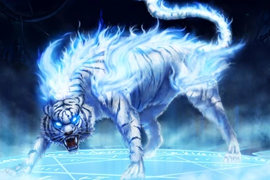 Wallpapers Tiger Fire Flames Ice Tigers Wallchan 1920x1080 ...