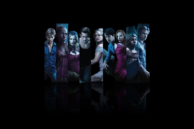 Top True Blood Wallpapers For Wallpapers