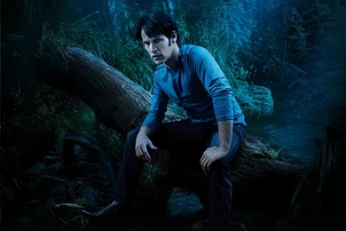 True Blood Wallpapers   House Of Vampires Wallpapers (23235950 ...