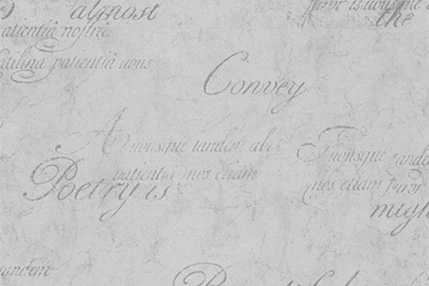 Concrete Script Wallpapers In Concrete Design By Graham & Brown ...