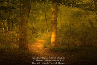 Fairest Lord Jesus   PopularHymns.com