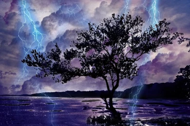 Lightning, Thunderstorm HD LWP Android Apps On Google Play