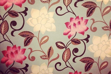 Oriental Lotus Flower Wallpapers