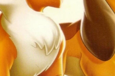 The Fox And The Hound Hd Wallpapers   Backgrounds Wallpapers For ...