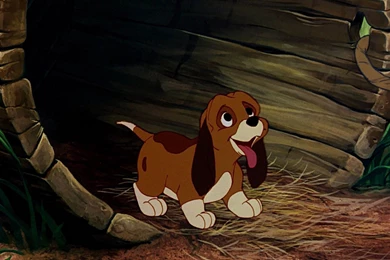 The Fox And The Hound HD Wallpapers (High Quality)   All HD Wallpapers