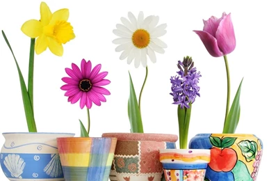 Download Wallpapers 1280x1024 Daffodil, Daisy, Hyacinth, Tulips ...