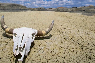 Death Valley Wallpapers