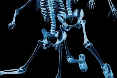 Download Wallpapers 1080x1920 Baylor University, Baylor Bears, Logo ...