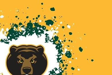 Baylor Bears On Pinterest