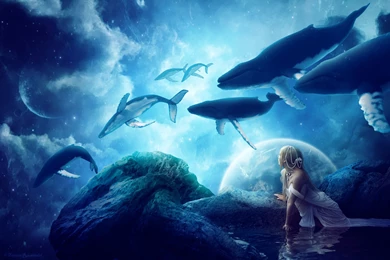 Whales Dream Wallpapers
