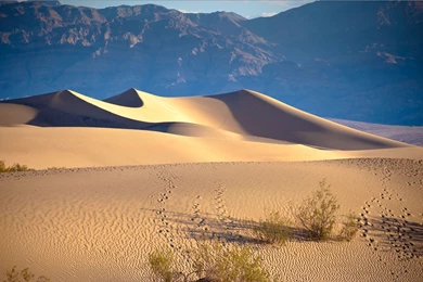 Death Valley Wallpaper, Nature / Meadows: Death Valley, USA ...