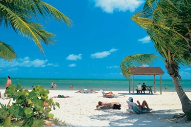 Miami Beach Wallpapers