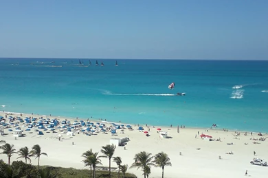 Miami Beach Vacation