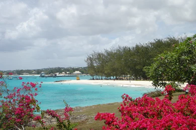 Top In Miami Beach Wallpapers