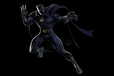 Black Panther Computer Wallpapers, Desktop Backgrounds