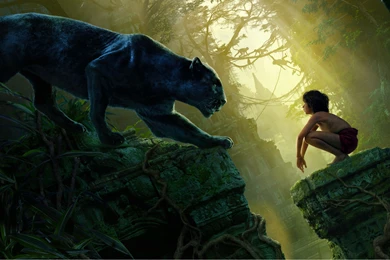 Mowgli Bagheera Black Panther The Jungle Book Wallpapers (DESKTOP ...