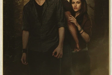 Popular Twilight Wallpaper Buy Cheap Twilight Wallpapers Lots From ...